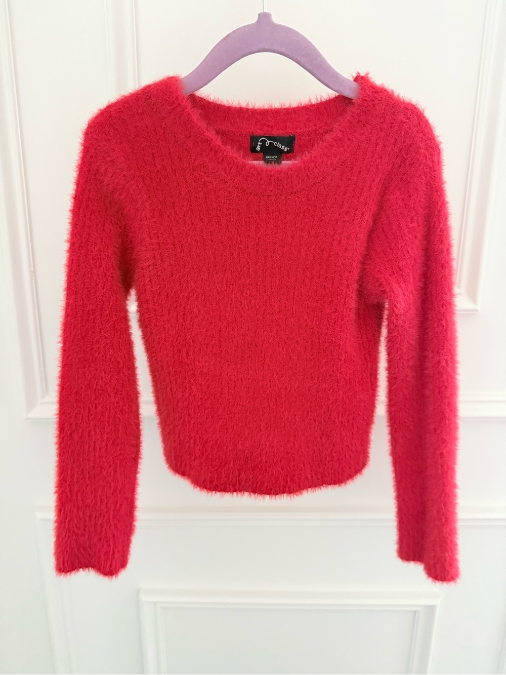 Adorable Fuzzy Red Sweater